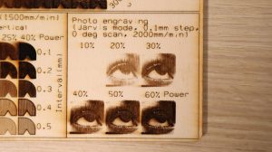 xtool D1 plywood photo engraving